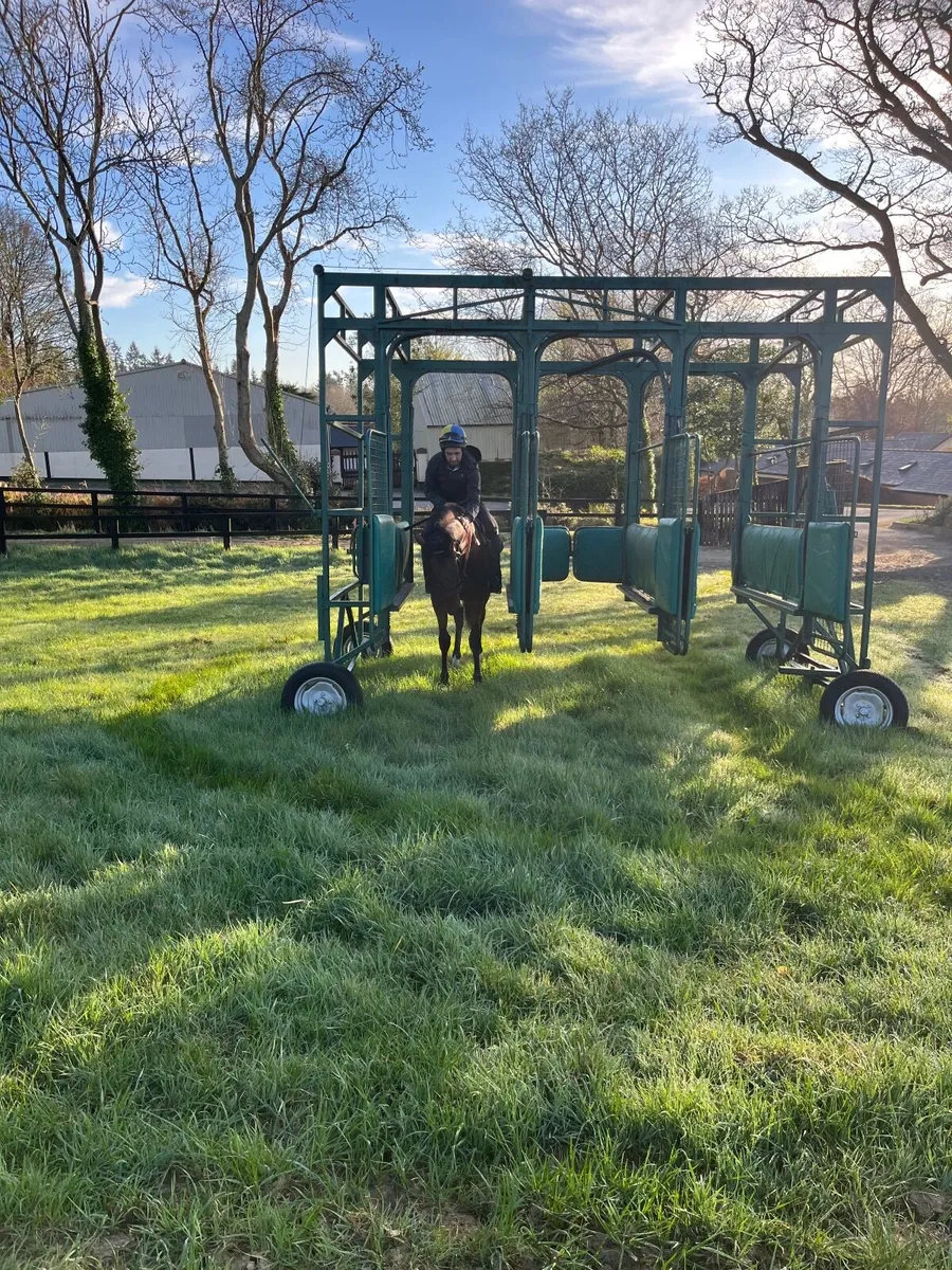 Breaking / Pre- Training/ Rehabilitation - Image 4