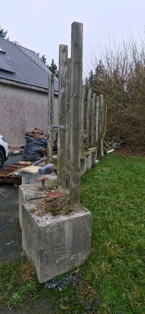 Concrete bollards - Image 1