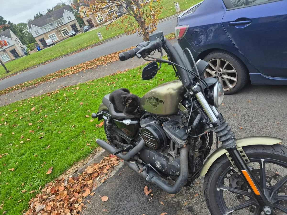 HARLEY DAVIDSON Other 2016 - Image 2