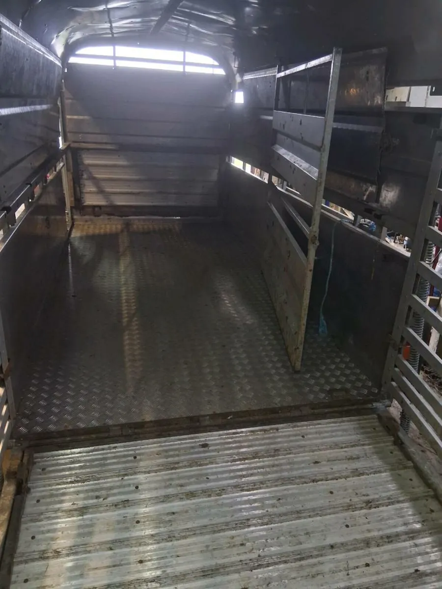 Nugent trailer with sheep decks 12x6 - Image 3