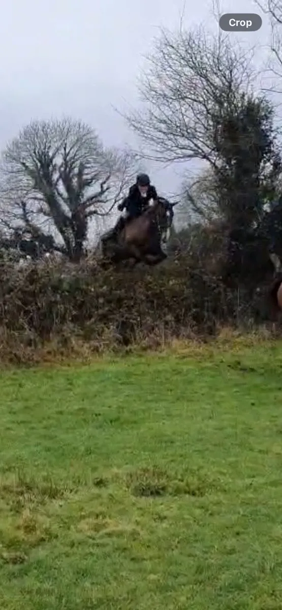 Super Hunter/Allrounder - Image 4