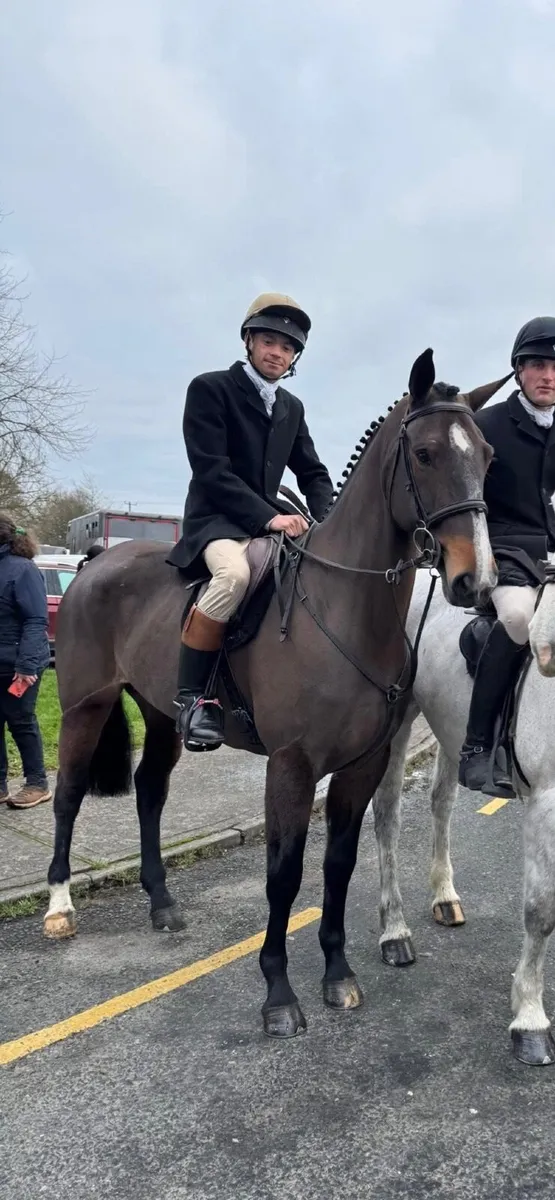 Super Hunter/Allrounder - Image 2