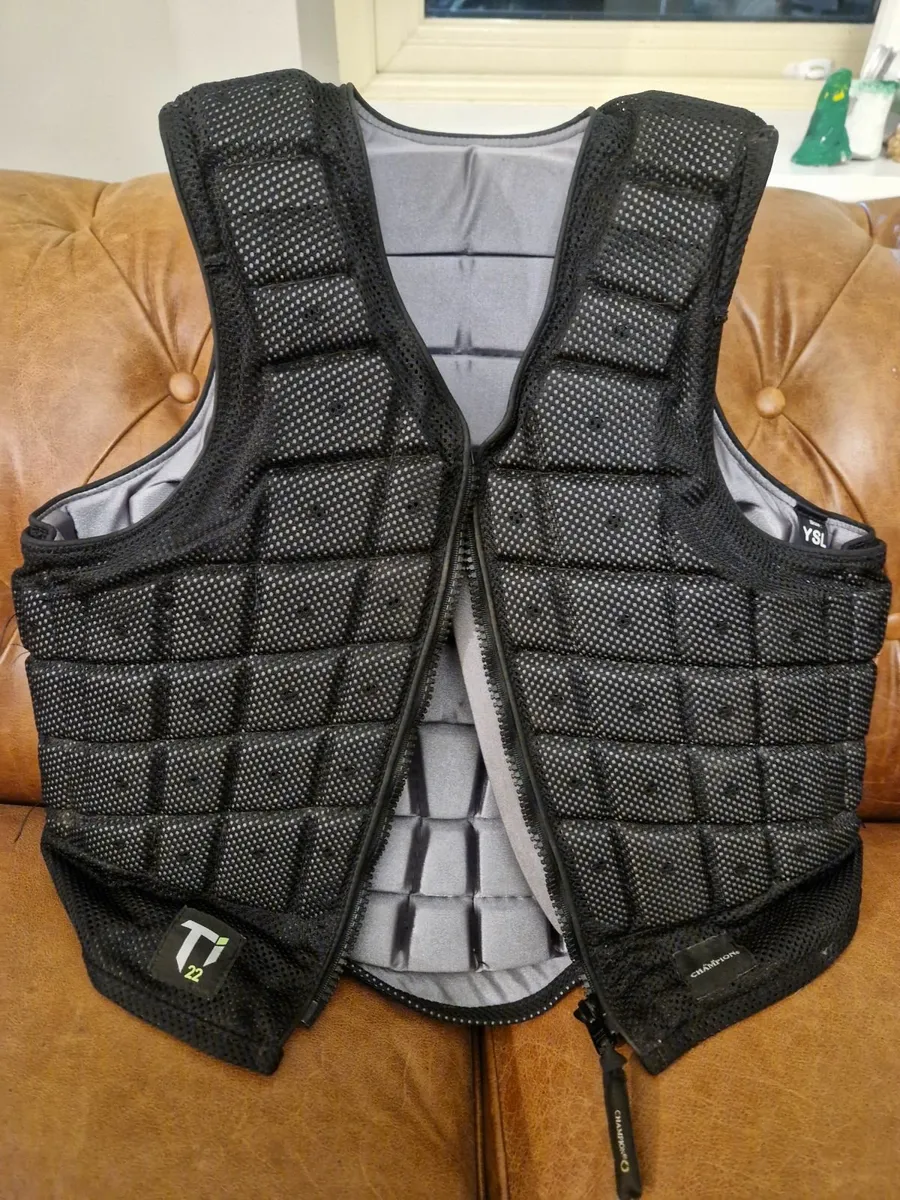 Body protector - Image 1