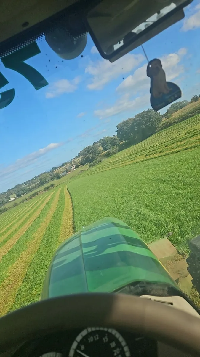 Silage Bales - Image 4