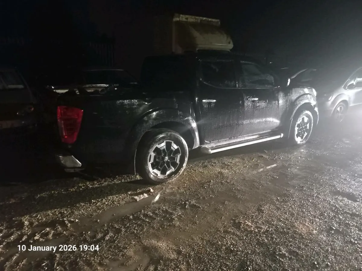 Nissan navara - Image 3