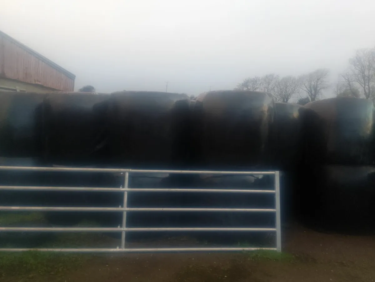 Hay /haylage/silage - Image 2