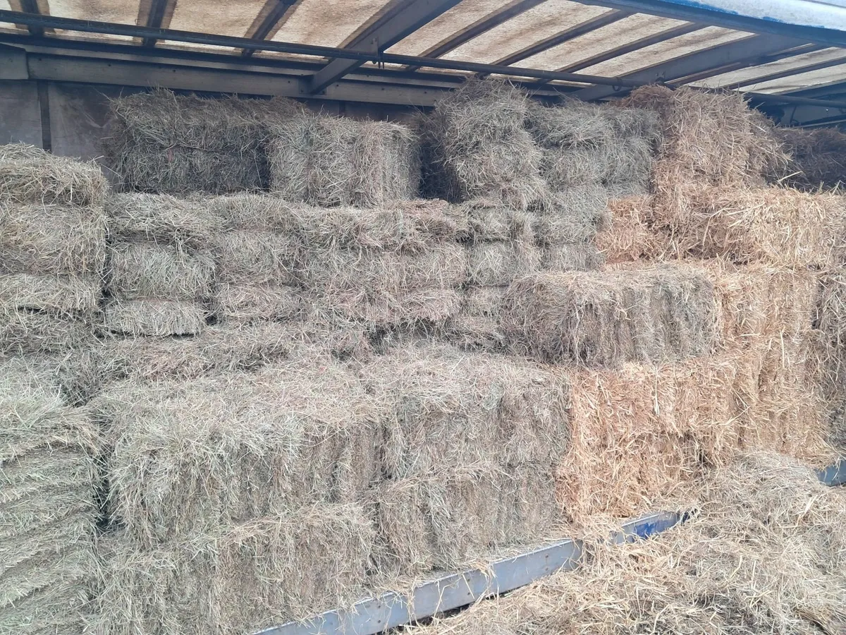 Small square bales of hay and straw - Image 1
