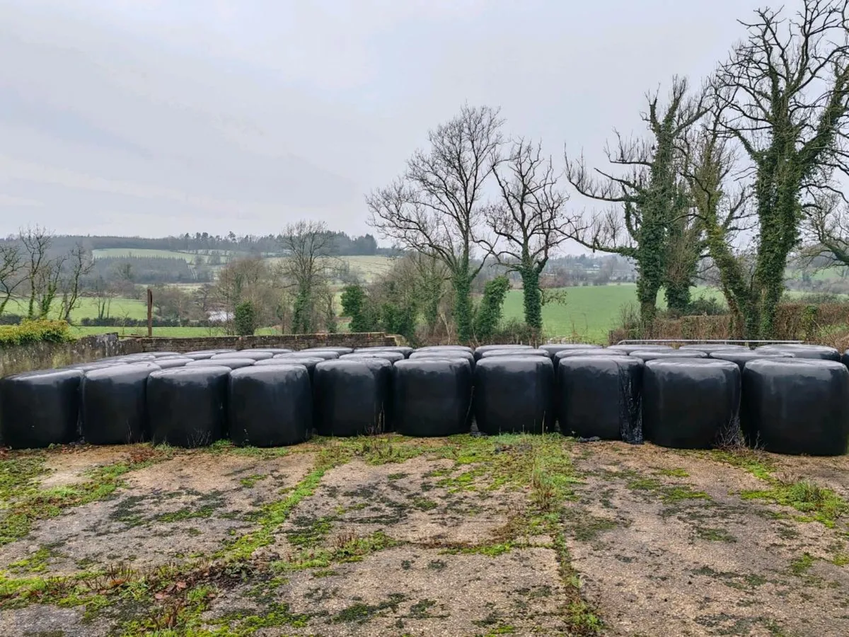 Silage bales - Image 1