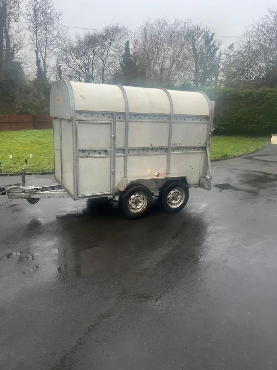 Dooley cattle trailer - Image 1