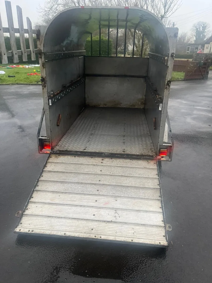 Dooley cattle trailer - Image 4