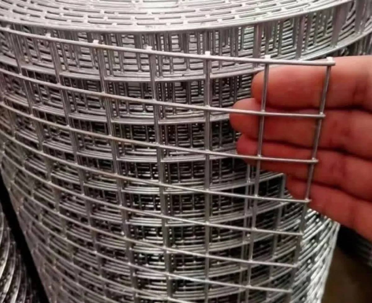 ‼️ Weld mesh Rolls ‼️ Hens-Birds- Fox- Dog- Garden - Image 1