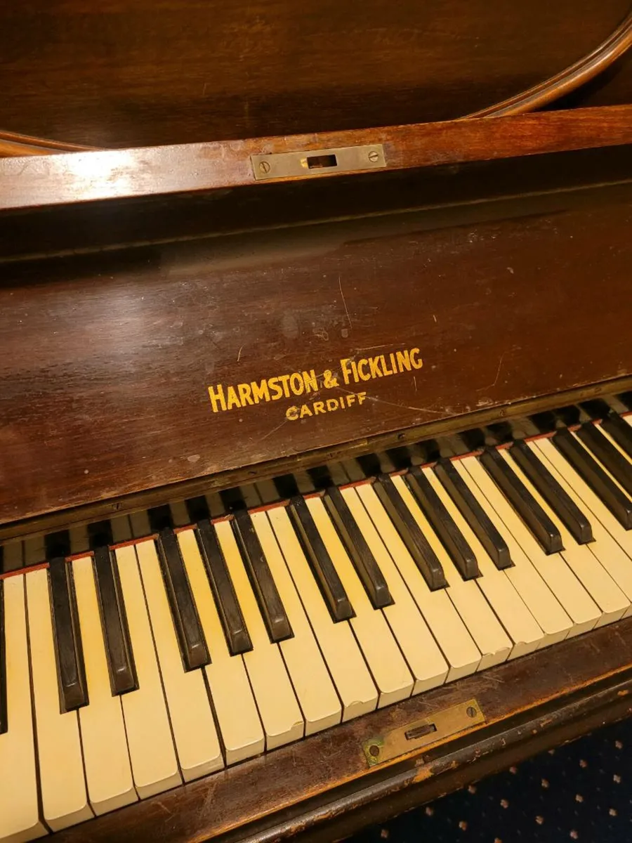 Piano Harmston & Flicking Cardiff - Image 3