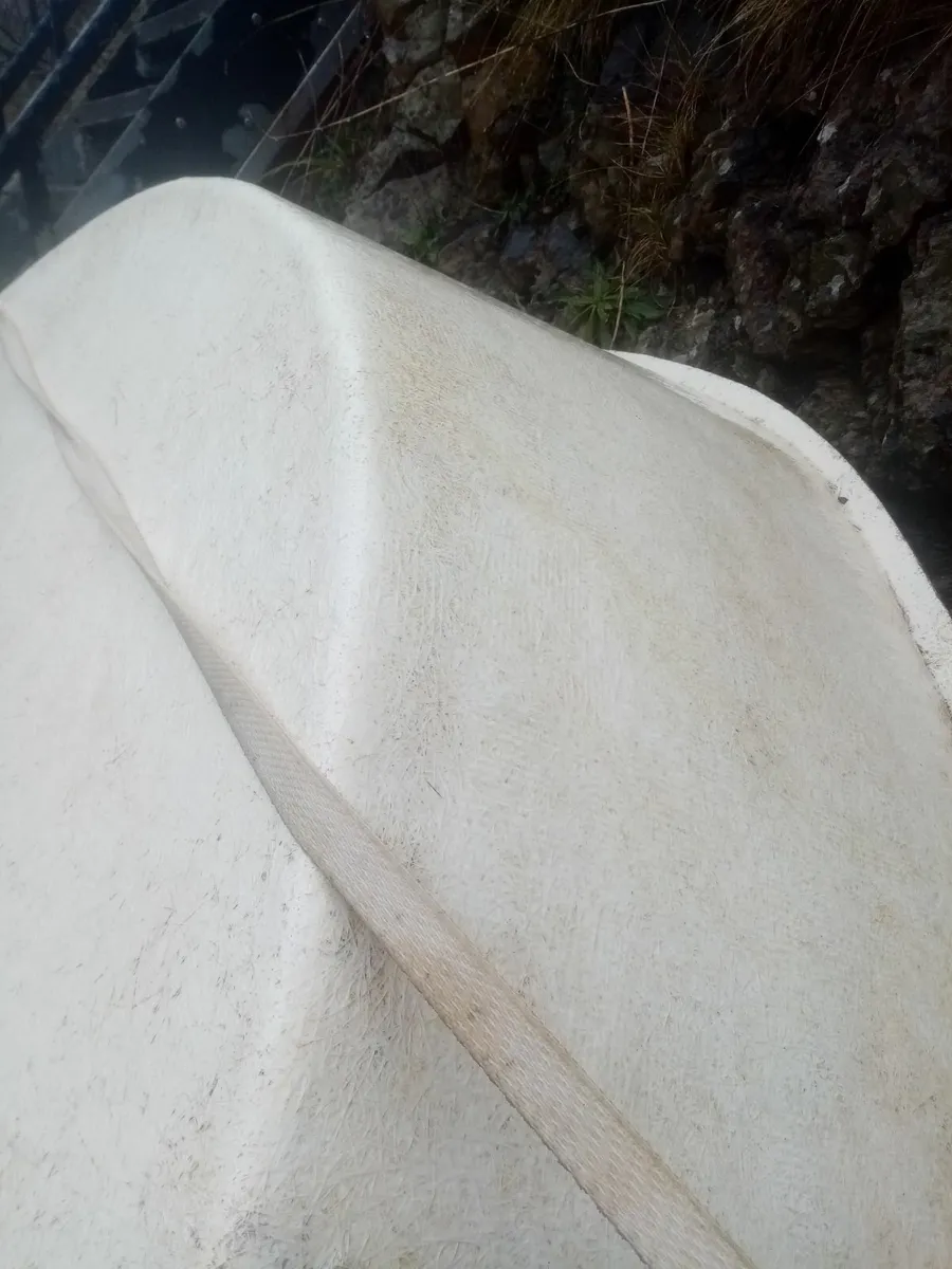 LARGE FIBREGLASS POND CARP   1.8M DIAMETER HEAVY - Image 4