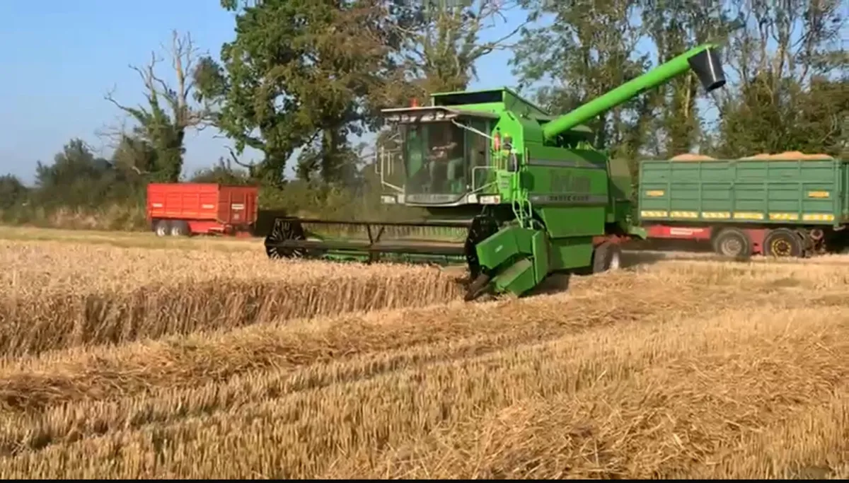 1998 Deutz-Fahr Topliner 4065 Hts combien - Image 2