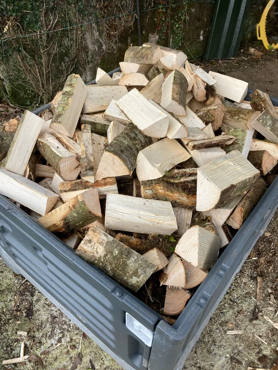 Firewood - Image 3