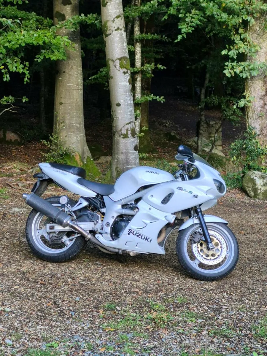 Suzuki SV 400s (A2) - Image 1