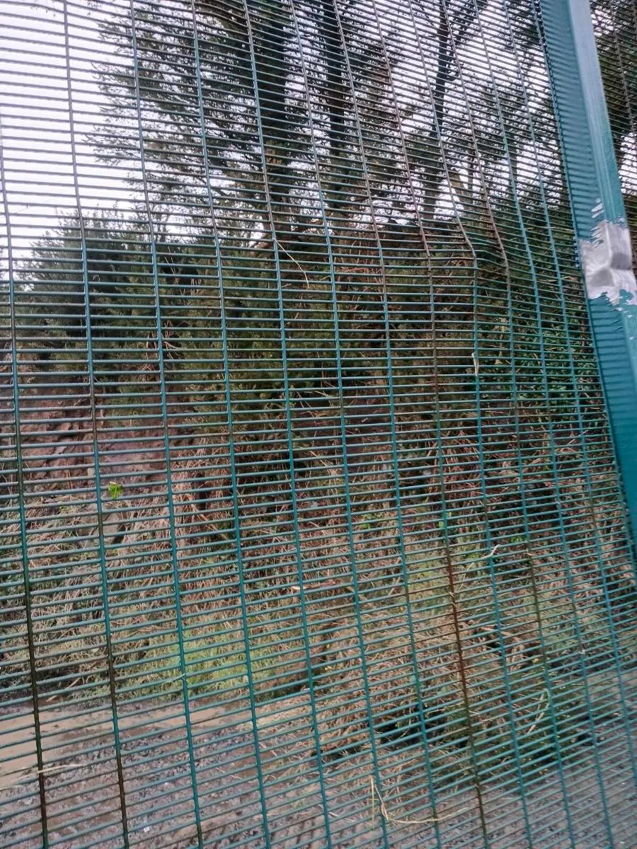 Security gate - Image 2