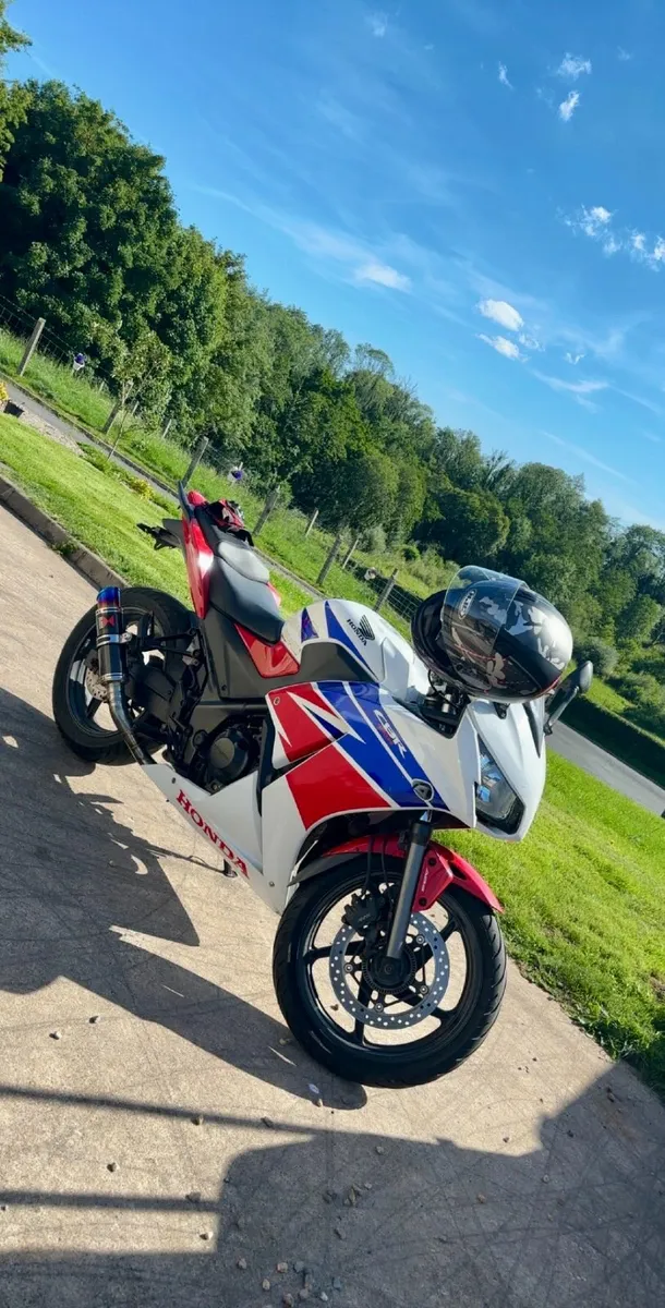 Honda Cbr300r - Image 2