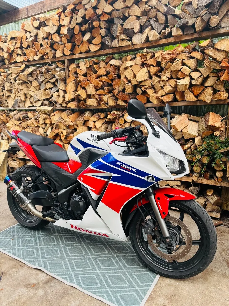 Honda Cbr300r - Image 4