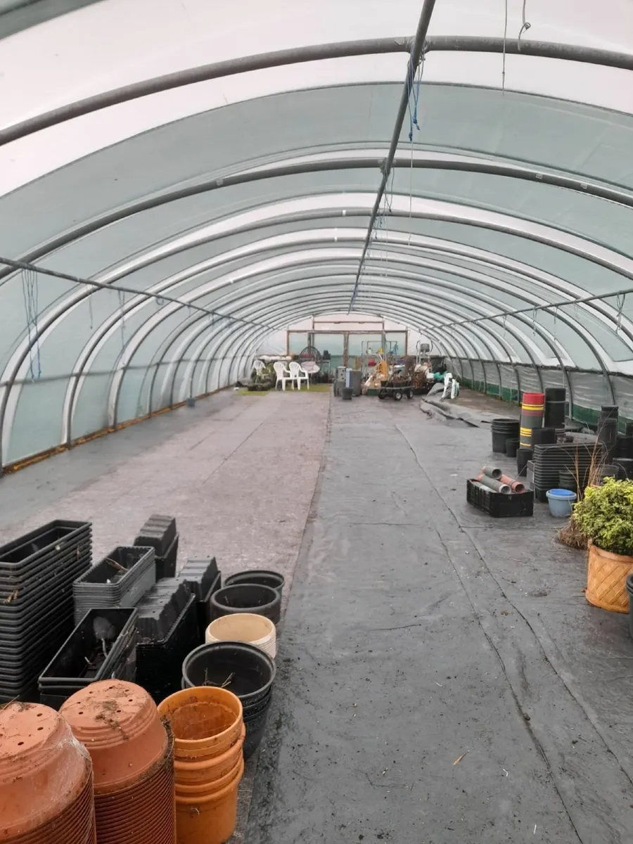 Pollytunnel - Image 3