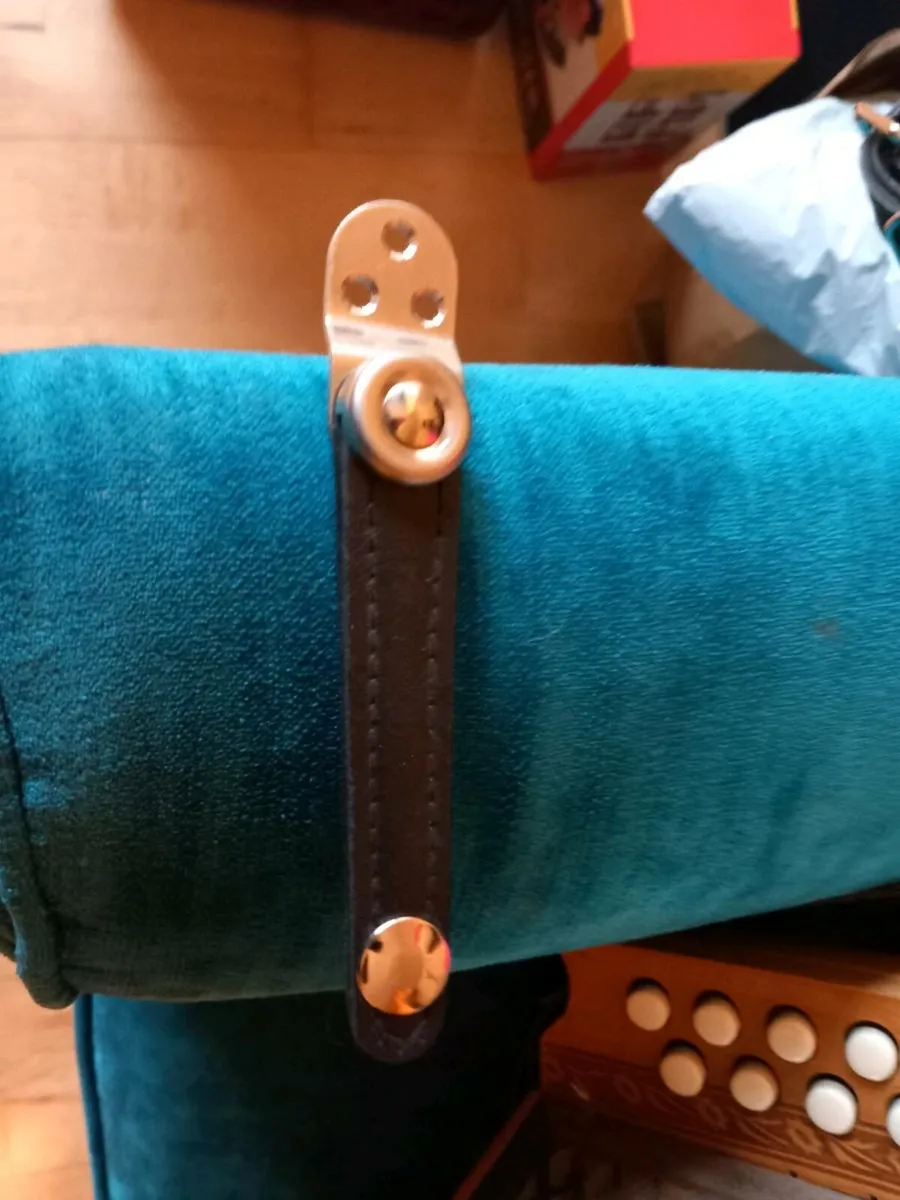 Poker works button accordion - Image 3