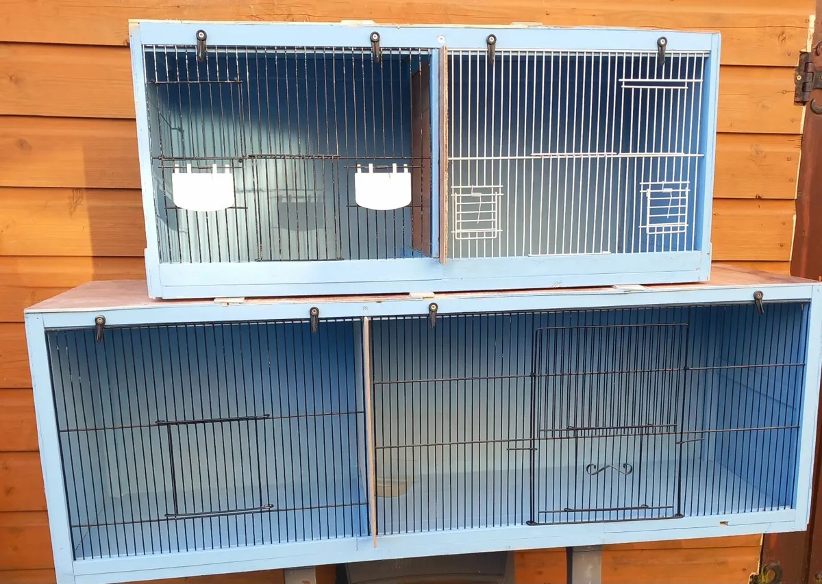 Avery Bird Equipment - Image 3