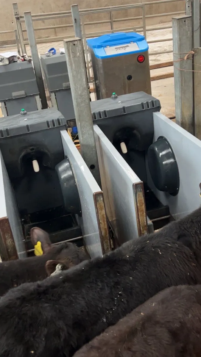 Dairy master (Holm & Laue) automated calf feeders - Image 4