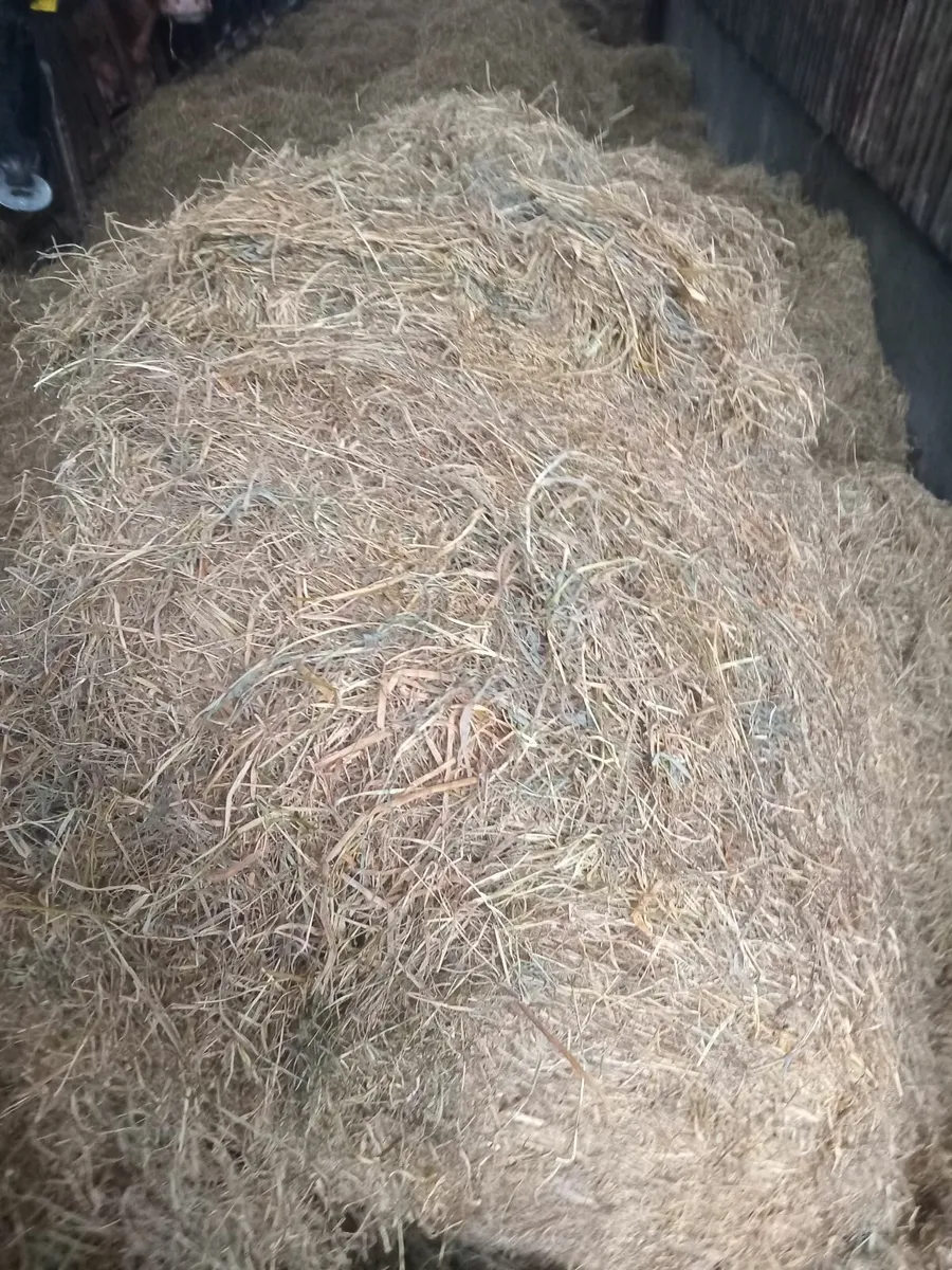 Round bales off haylage - Image 1
