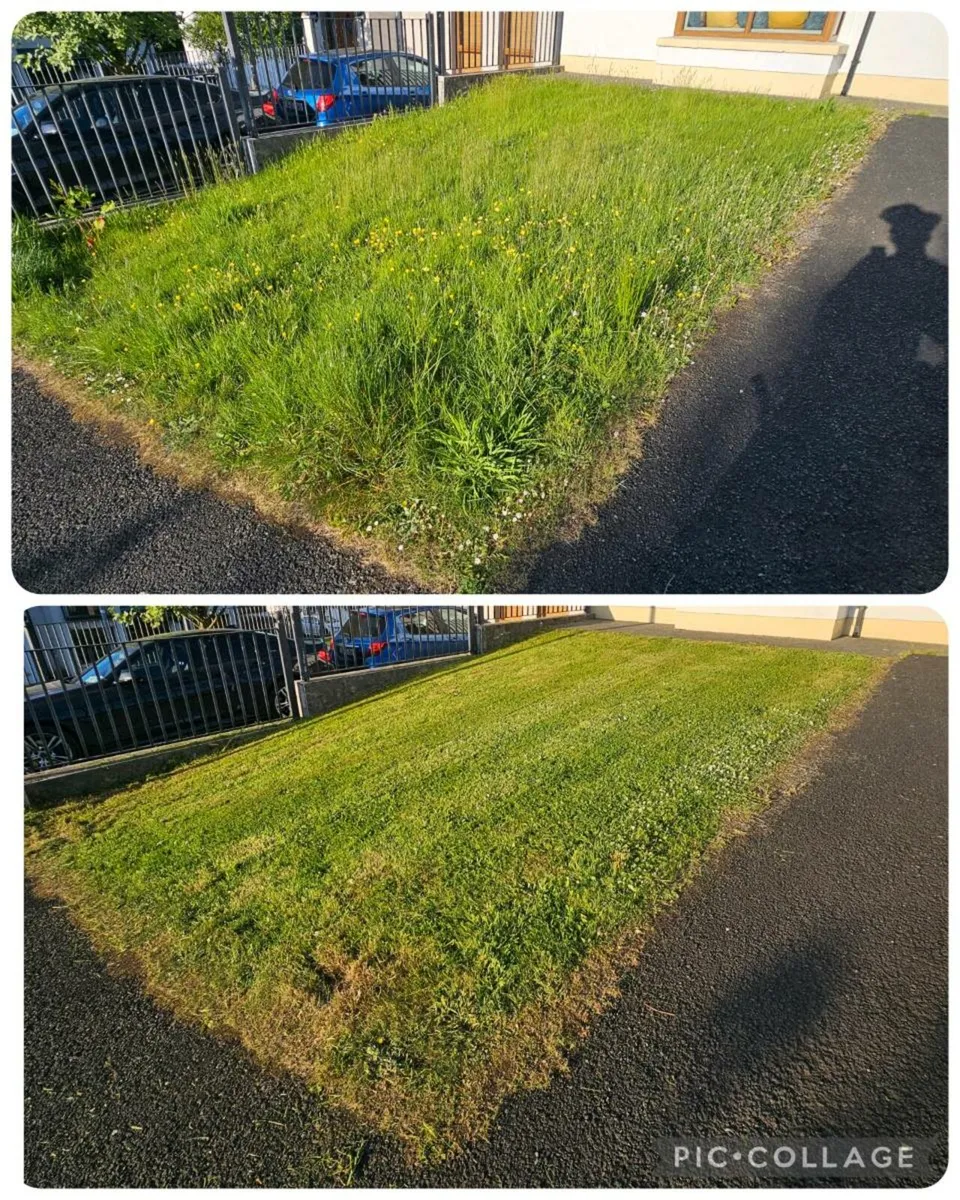 Garden Services - Image 3