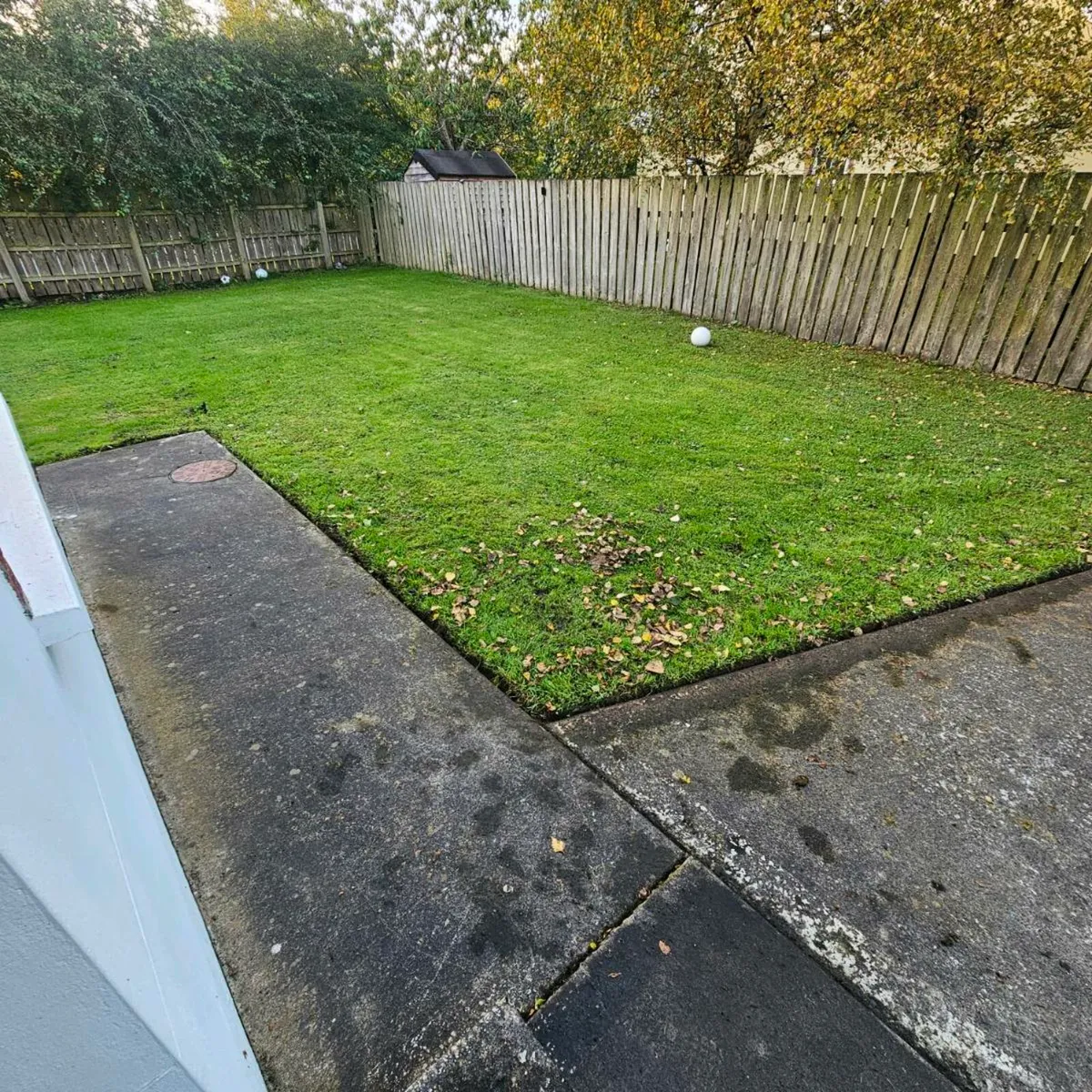 Garden Services - Image 4