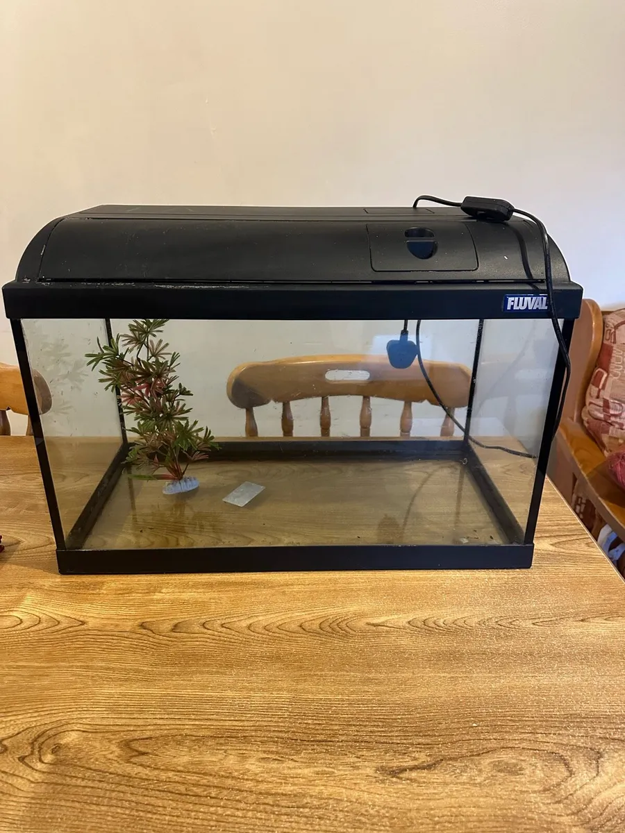 Fish Tank - Image 2