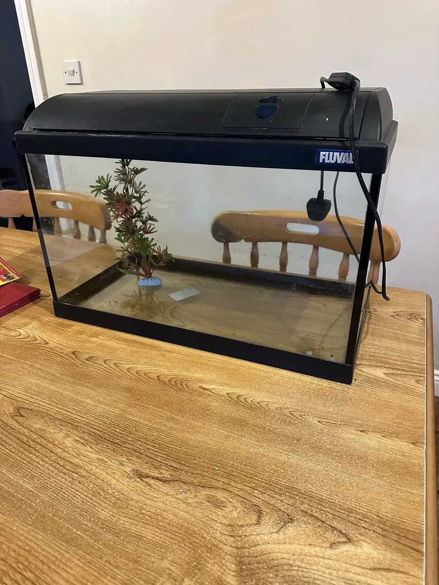 Fish Tank - Image 3
