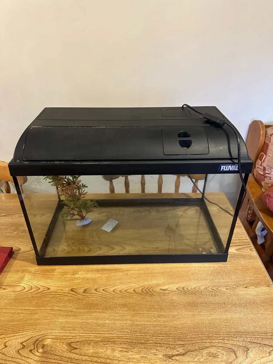 Fish Tank - Image 1