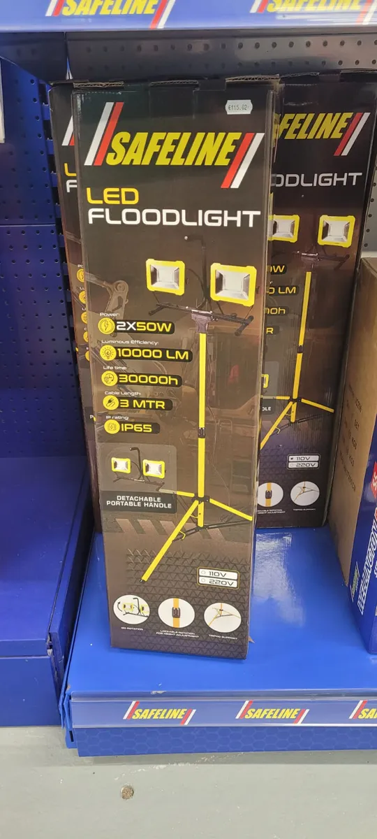 50 watt Led Flood Lights & Festoon Lighting Avail - Image 3