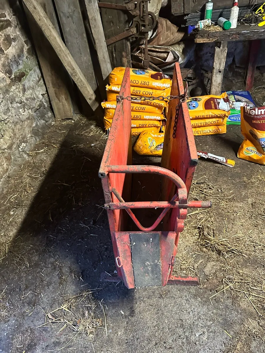 Dehorning crate - Image 2