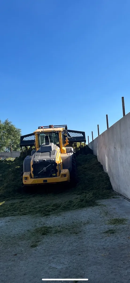 Pit silage