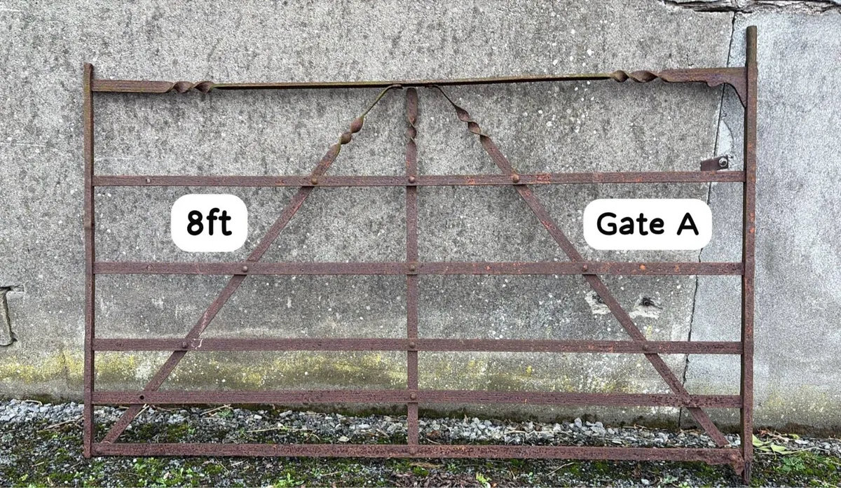 Wrought iron gates - Image 1