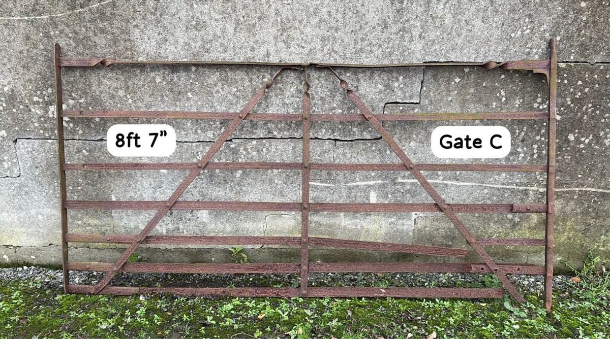 Wrought iron gates - Image 3