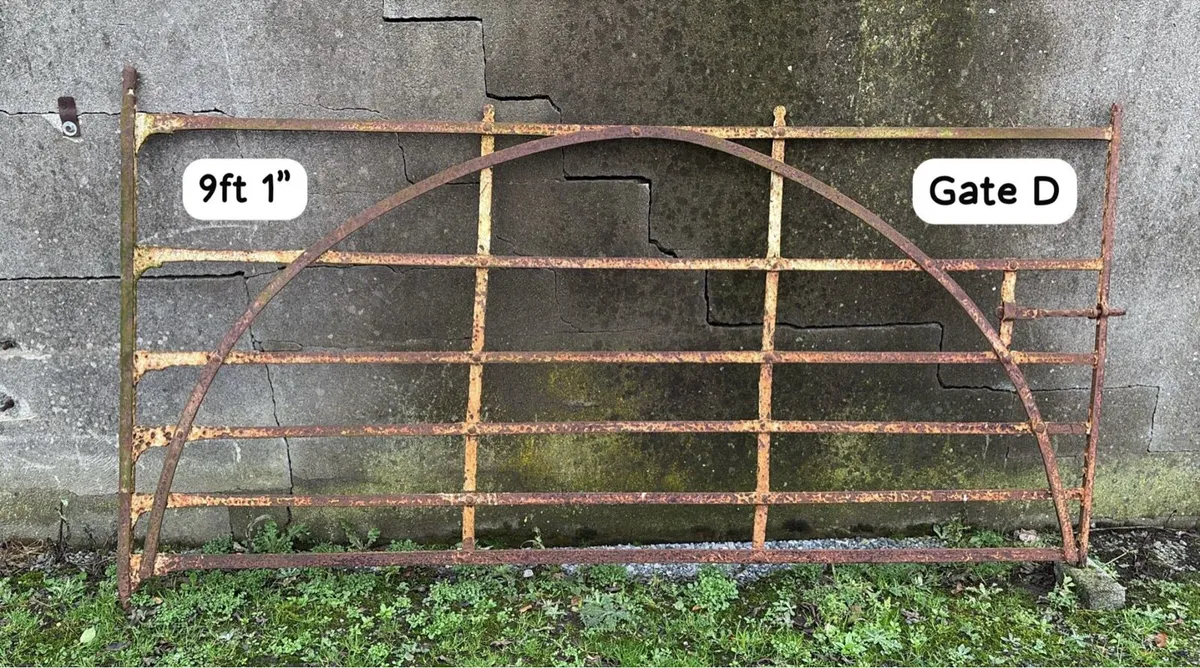 Wrought iron gates - Image 4