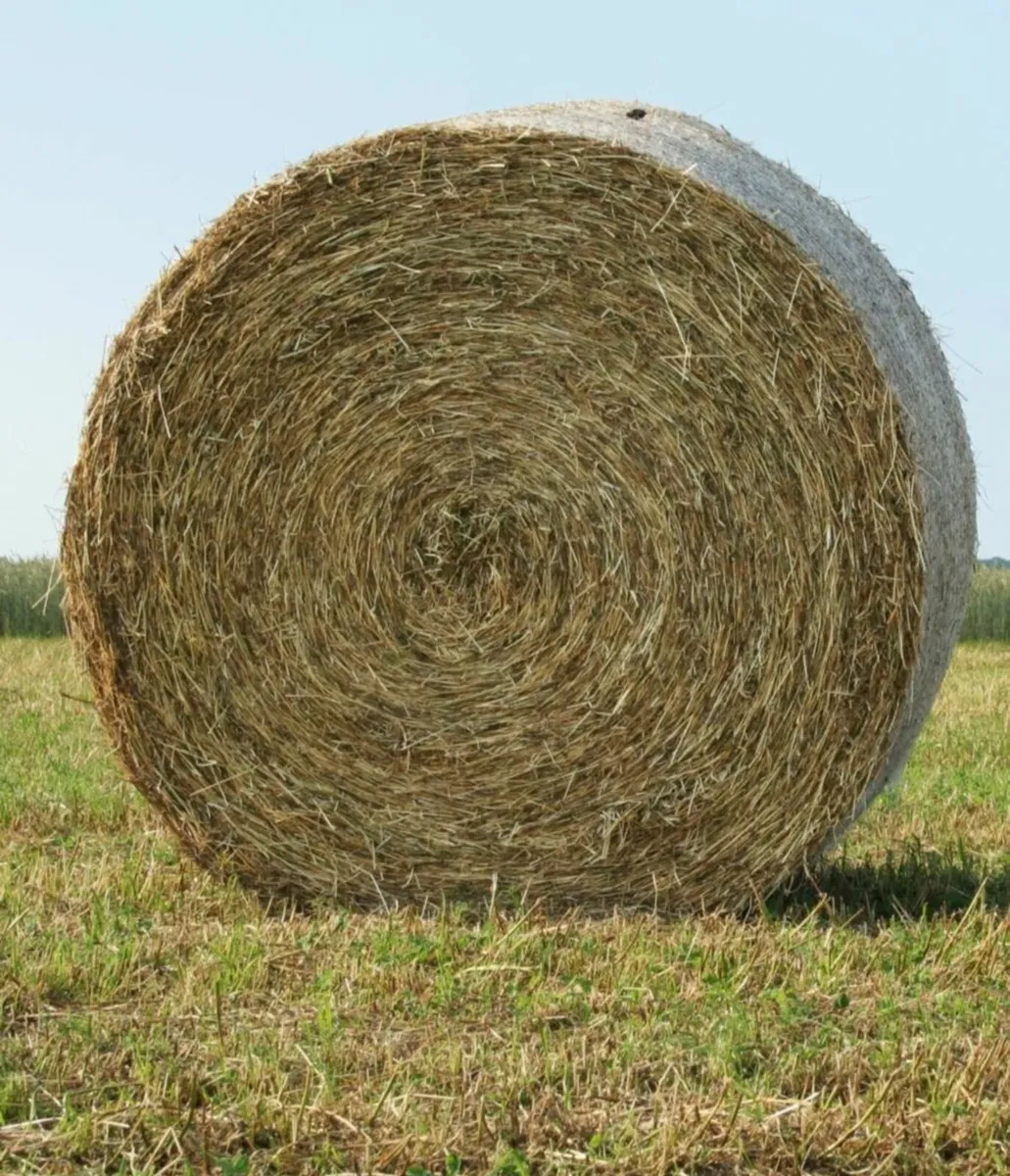 Round bales of Straw and Haylage - Image 1