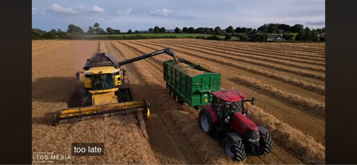 Barley straw 4x4 and 5x4 - Image 3