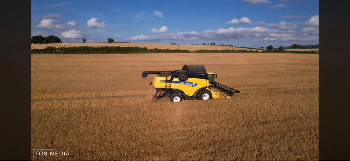 Barley straw 4x4 and 5x4 - Image 1