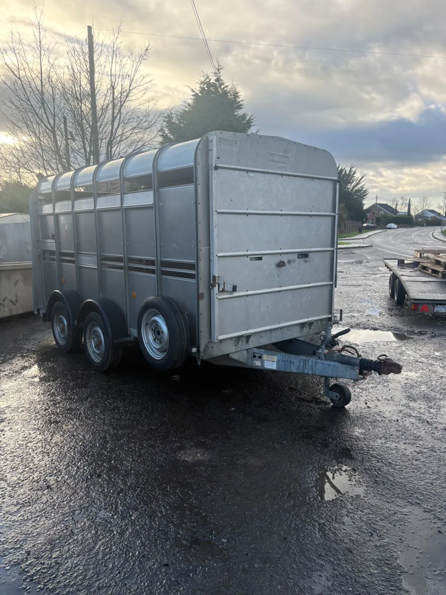 Ifor Williams 12ft cattle trailed - Image 1