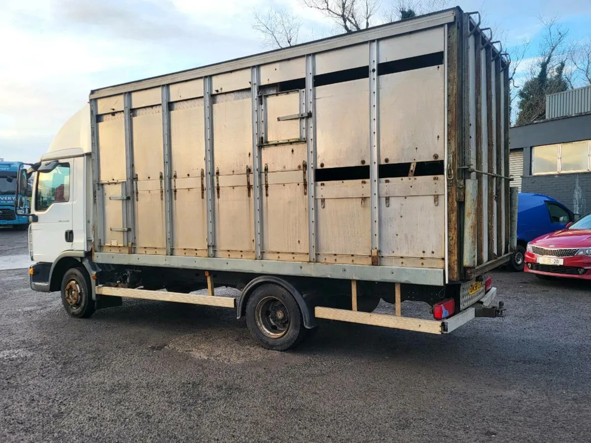 Man cattle lorry - Image 4