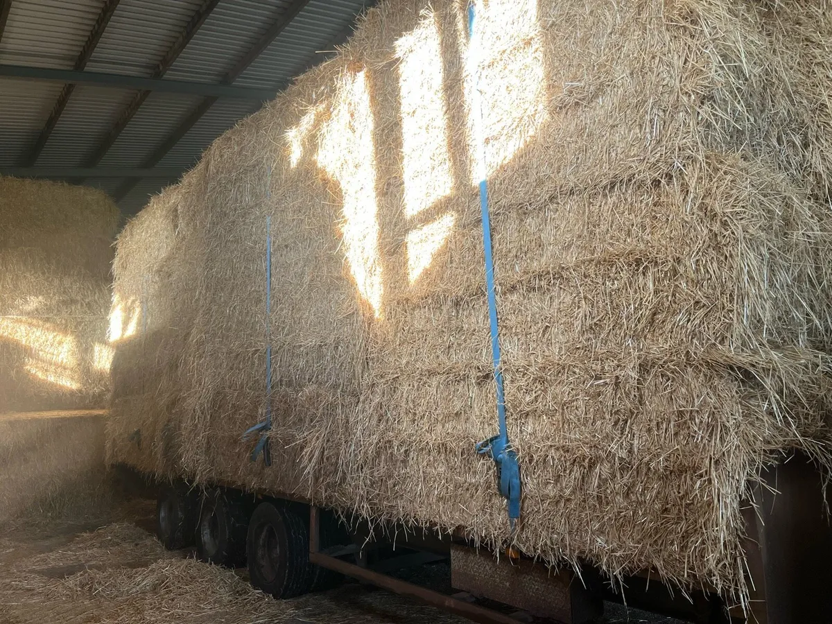 Barley straw 8x4x3 - Image 1