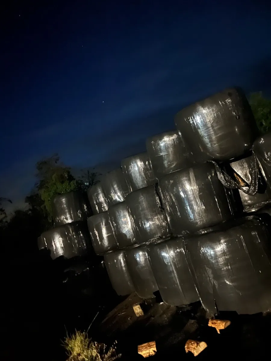 Bales of silage - Image 2