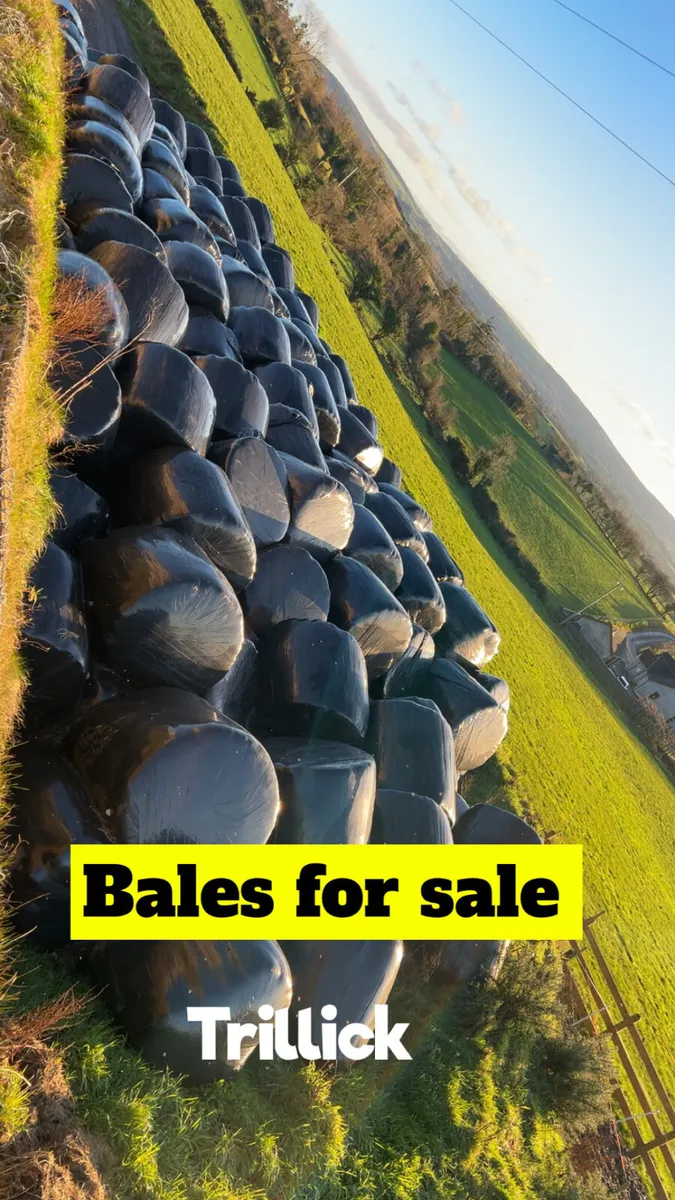 Bales Off Silage For Sale
