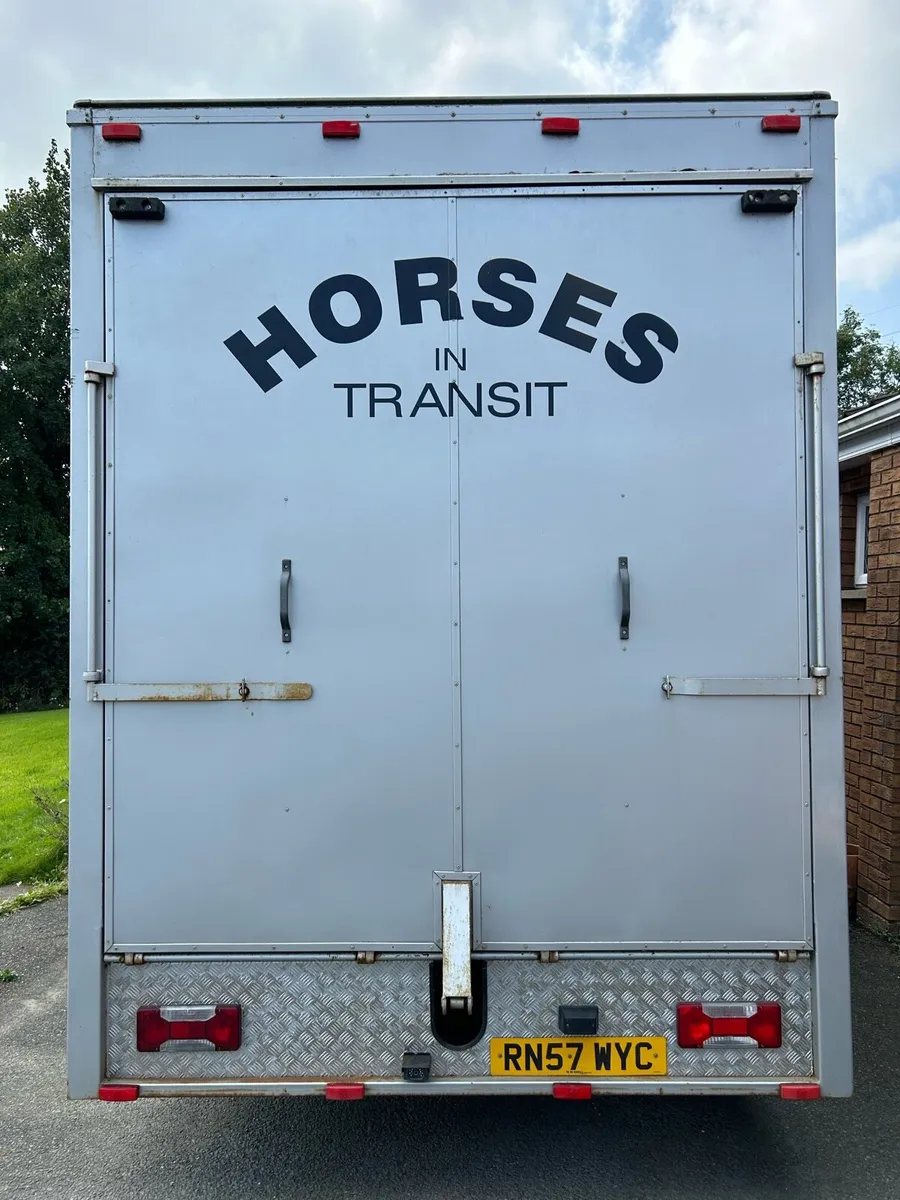 2007 6.5T Iveco Daily Horselorry - Image 3