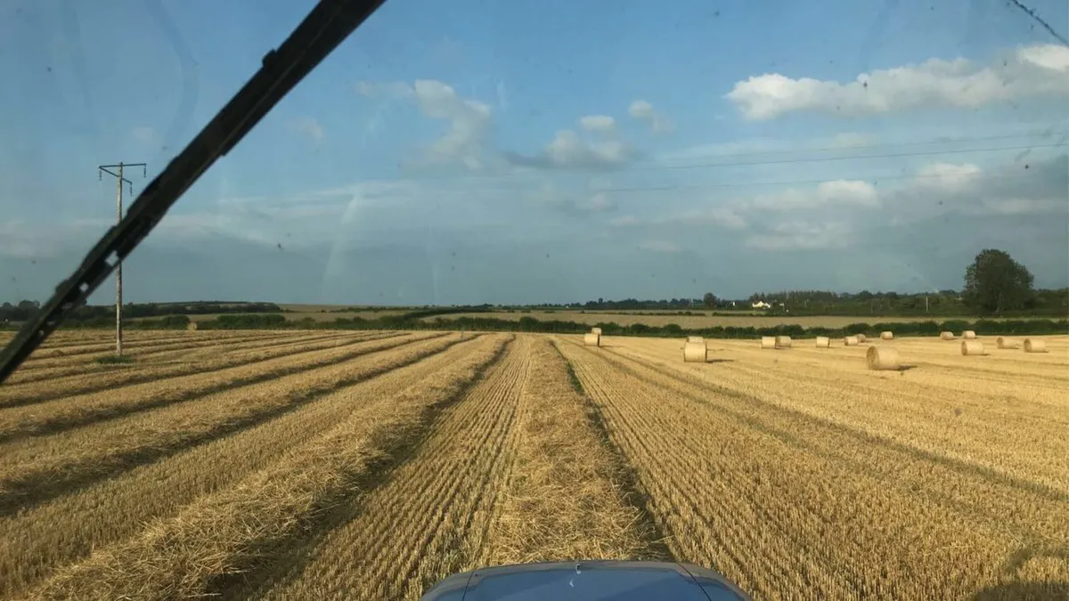 2025 barley straw - Image 1