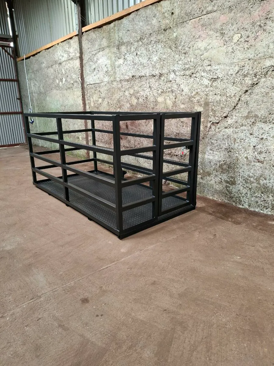 Pinnacle Fabrication Man Basket/ Calf Transporter - Image 2